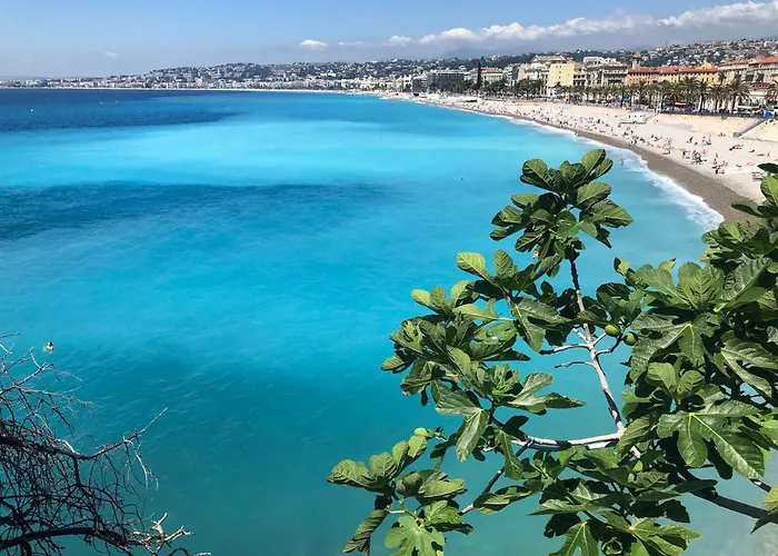 Apartment Appt A 150m De La Nizza